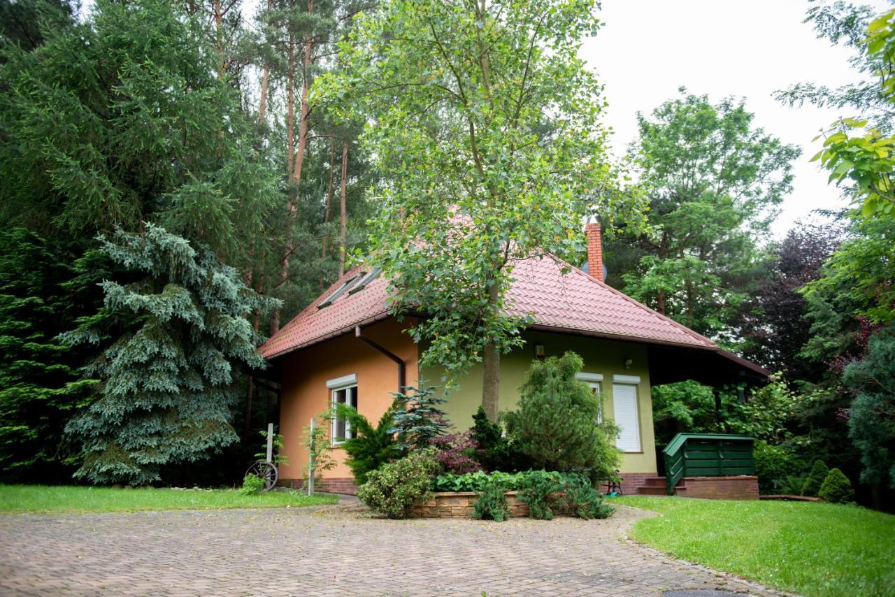 Dom Nad Stawem Villa Rakszawa Esterno foto